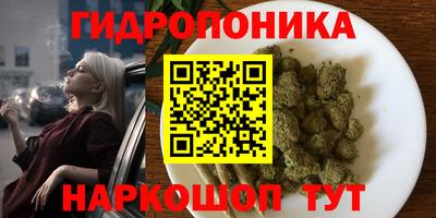 индика Ливны