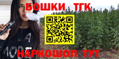 индика Ливны