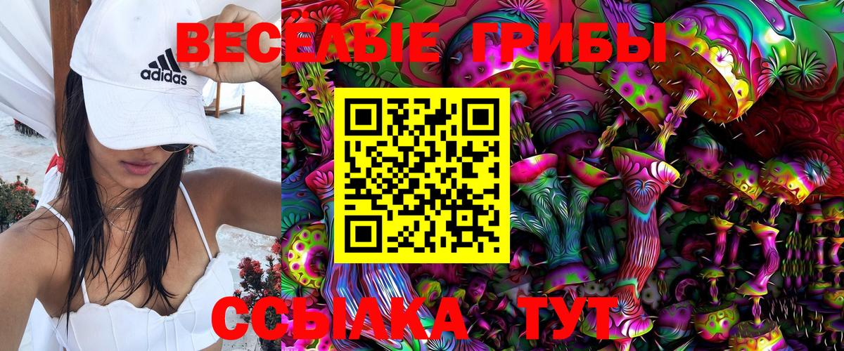 Галлюциногенные грибы Psilocybine cubensis  Вход с VPN  Галлюциногенные грибы ЛСД  Тосно 