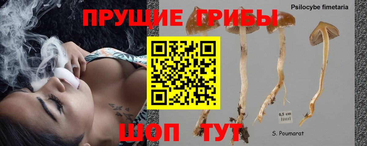 Псилоцибиновые грибы Magic Shrooms Тосно